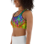 Fluffy Rainbow Sports Bra