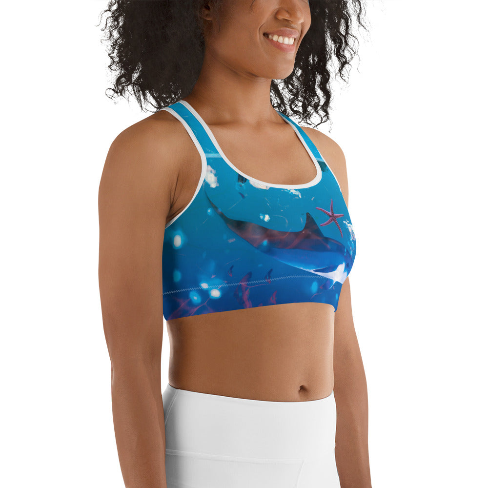 Sea World Sports Bra